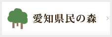 愛知県民の森